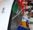 Europejska edycja Shell Eco-marathon 2008: Sezon pobijania rekordów