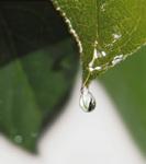 Światowy Dzień Ochrony Środowiska 3 jpg21191.jpg