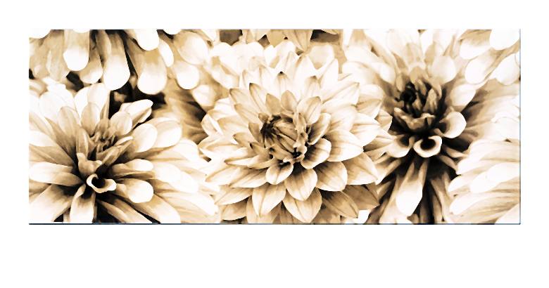 BUGI CREAM INSERTO FLOWER 20x50-002-2014-06-09 _ 15_59_39-72