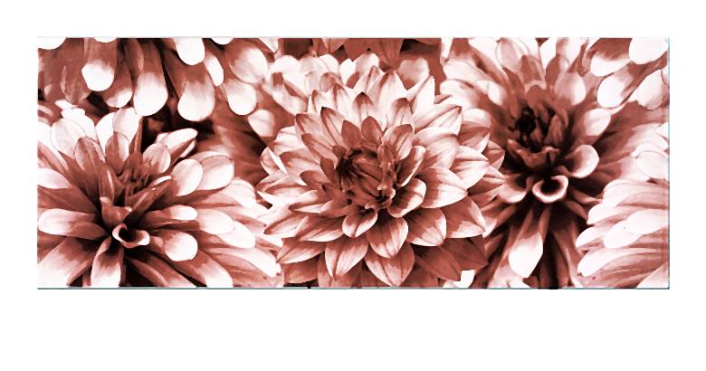 BUGI PINK INSERTO FLOWER 20x50-009-2014-06-09 _ 15_59_40-72