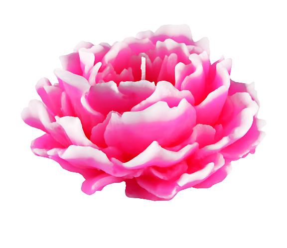 _wieca (4)-036-2014-07-02 _ 23_48_22-72