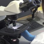 Naukowcy stworzyli rewolucyjny edytor genów. Mogą włączać i wyłączać geny w ludzkim DNA bez jego uszkodzenia [DEPESZA]