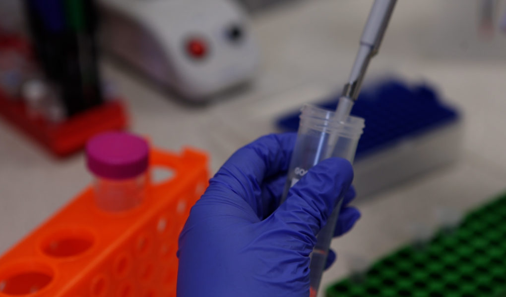 Przełom w wykorzystaniu DNA jako nośnika danych. Naukowcy z MIT opracowali nową technikę wyszukiwania w nim informacji [DEPESZA]