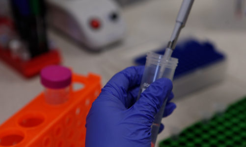 Przełom w wykorzystaniu DNA jako nośnika danych. Naukowcy z MIT opracowali nową technikę wyszukiwania w nim informacji [DEPESZA]